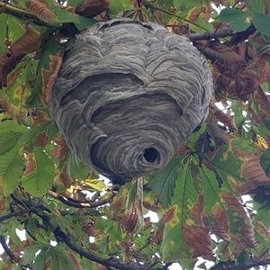 Meet your Posher, Danny